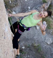 image of Halley Stocks 