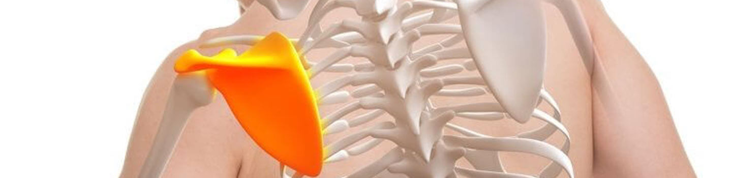 Shoulder Pain image Shoulder Pain image